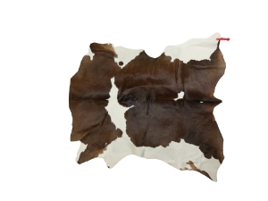 Calf Skin: Gallery Item 