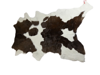 Calf Skin: Gallery Item 