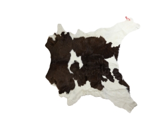 Calf Skin: Gallery Item 