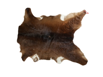 Calf Skin: Gallery Item 
