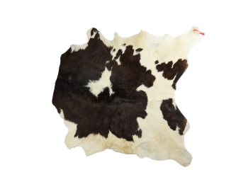 Calf Skin: Gallery Item 