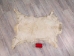 Argentine Fly-Fishing Goat Skin: Gallery Item - 66-30-G4806 (Y3KRB)