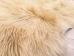 Argentine Fly-Fishing Goat Skin: Gallery Item - 66-30-G4806 (Y3KRB)