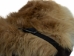 Rex & Czech Rabbit Massage Mitt with Buckle: Gallery Item - 696-9RX-G2961 (Y1LRB)
