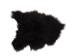 Icelandic Sheepskin: Blacky Brown: 90-100cm or 36" to 40": Gallery Item - 7-002-G6504 (Y1LRU)