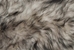 Dyed Icelandic Sheepskin: Light Silver Dark Tops:  90-100cm or 36" to 40": Gallery Item - 7-00SL-G1901 (Y2D)