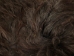 Icelandic Sheepskin: Blacky Brown: 100-110cm or 40" to 44": Gallery Item - 7-102-G4033 (Y1LRV)