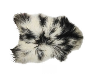 Icelandic Sheepskin: Piebald: 100-110cm or 40" to 44": Gallery Item 