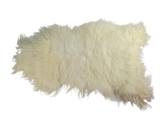 Icelandic Sheepskin: Creamy White: 120-130cm or 48" to 52": Gallery Item 