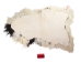 Icelandic Sheepskin: Piebald: 120-130cm or 48" to 52": Gallery Item - 7-304-G4107 (Y2F)
