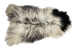 Icelandic Sheepskin: Piebald: 130-140cm or 52" to 56": Gallery Item - 7-404-G7536 (Y1LRF)