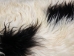 Icelandic Sheepskin: Piebald: 130-140cm or 52" to 56": Gallery Item - 7-404-G7537 (Y1LRF)