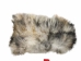 Icelandic Sheepskin: Gray: 130-140cm or 52" to 56": Gallery Item - 7-405-G6456 (Y1LRT)