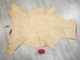 Hungarian Fallow Deer Hide: Summer Phase: Gallery Item - 744-S-G4714 (Y1HRF)