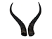 Pair of 14" Male Springbok Horns: Gallery Item - 1025-XL-G6315 (9UL10)