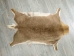 Grey Rhebok Skin: Gallery Item - 1028-G01 (Y1LRL)