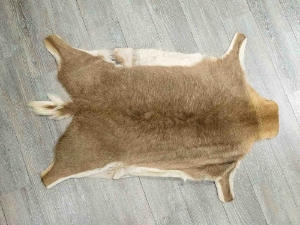 Grey Rhebok Skin: Gallery Item 