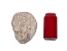 Spiny Oyster Shell: Purple #2: Gallery Item - 1086-22-G4992 (Y1J)