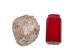 Spiny Oyster Shell: Purple #2: Gallery Item - 1086-22-G4996 (Y1J)