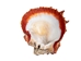 Spiny Oyster Shell: Orange #1: Gallery Item - 1086-41-G6331 (8UR11)