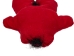Female Voodoo Doll: Gallery Item - 1270-DOF-G6351 (Y1L)