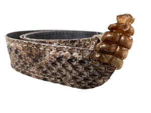 7/8" Real Eastern Diamondback Rattlesnake Hat Band with Rattle: Gallery Item rattlesnake hatbands