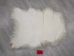Greenlandic Sheepskin: Natural White: Gallery Item - 1371-10-G2943 (Y2FXX)