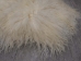 Greenlandic Sheepskin: Natural White: Gallery Item - 1371-10-G2943 (Y2FXX)