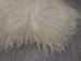 Greenlandic Sheepskin: Natural White: Gallery Item - 1371-10-G2943 (Y2F)