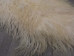 Greenlandic Sheepskin: Natural White: Gallery Item - 1371-10-G2944 (Y2FXX)