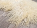 Greenlandic Sheepskin: Natural White: Gallery Item - 1371-10-G4927 (Y1JRO)