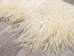 Greenlandic Sheepskin: Natural White: Gallery Item - 1371-10-G4927 (Y1J)