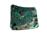 Mexican Green Abalone Shell Button: No Holes: 3.5" x 3.5": Gallery Item 