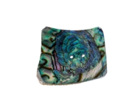 Mexican Green Abalone Shell Button: 2-Hole: 3.5" x 3.5": Gallery Item 