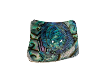 Mexican Green Abalone Shell Button: 2-Hole: 3.5" x 3.5": Gallery Item 