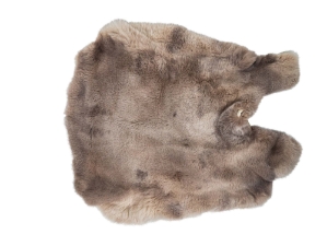 Natural Rex Rabbit Skin: Gallery Item 