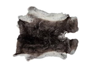 Natural Rex Rabbit Skin: Gallery Item 
