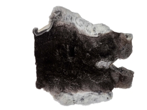 Natural Rex Rabbit Skin: Gallery Item 