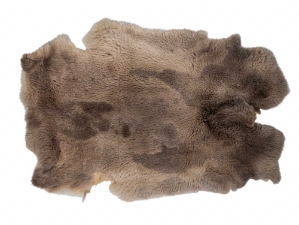 Natural Rex Rabbit Skin: Gallery Item 