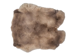 Natural Rex Rabbit Skin: Gallery Item 