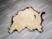 Buffalo Hide: #1: Gallery Item - 149-1-G4872 (Y2DRL)