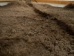 Buffalo Hide: #1: Gallery Item - 149-1-G4872 (Y2DRL)