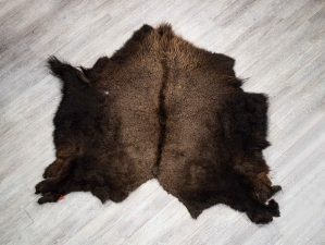 Buffalo Hide: #1: Gallery Item 