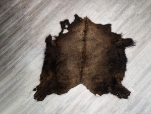 Buffalo Hide: #1: Gallery Item 