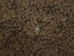 Buffalo Hide: #1: Gallery Item - 149-1-G4875 (Y1JRH)