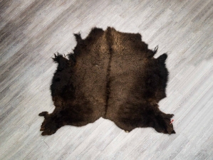 Buffalo Hide: #1: Gallery Item 