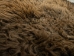 Buffalo Hide: #1: Gallery Item (Heavy) - 149-1-G4878 (Y1J)