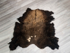 Buffalo Hide: #1: Gallery Item (Heavy) 