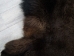 Buffalo Hide: #1: Gallery Item - 149-1-G4880 (Y1JRG)