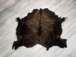 Buffalo Hide: #1: Gallery Item 